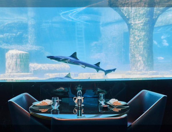 NEMO, DENİZ ALTI DÜNYASINDAN İLHAM ALAN ATMOSFERİYLE İSTANBUL’DA
