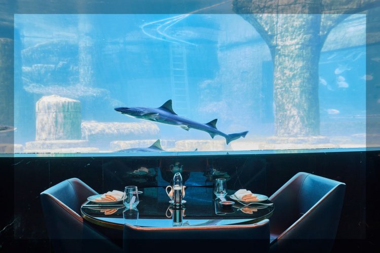 NEMO, DENİZ ALTI DÜNYASINDAN İLHAM ALAN ATMOSFERİYLE İSTANBUL’DA