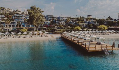 SAHNEDE KARSU, MUTFAKTA FALSER: THE NORM LE CHIC AÇILDI