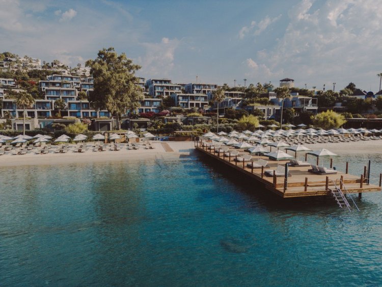 SAHNEDE KARSU, MUTFAKTA FALSER: THE NORM LE CHIC AÇILDI