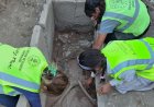 ASPENDOS'TA TARİHİ KEŞİF: KLASİK DÖNEM GÜREŞÇİ MEZARI GÜN YÜZÜNE ÇIKARILDI