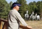 MEHMET ÖNGEN'DEN ORMAN YANGINLARIYLA MÜCADELEDE 'KEÇi' ÖNERİSİ