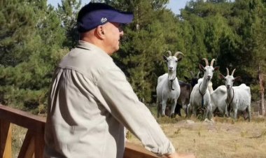 MEHMET ÖNGEN'DEN ORMAN YANGINLARIYLA MÜCADELEDE 'KEÇi' ÖNERİSİ