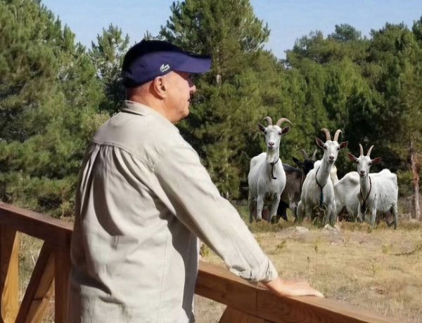 MEHMET ÖNGEN'DEN ORMAN YANGINLARIYLA MÜCADELEDE 'KEÇi' ÖNERİSİ