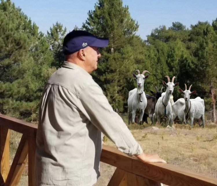 MEHMET ÖNGEN'DEN ORMAN YANGINLARIYLA MÜCADELEDE 'KEÇi' ÖNERİSİ
