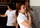 CRYSTAL HOTELS’TEN CAN DOSTLARIMIZA BÜYÜK DESTEK: 'BİR KAP MAMA, BİR CANA UMUT'