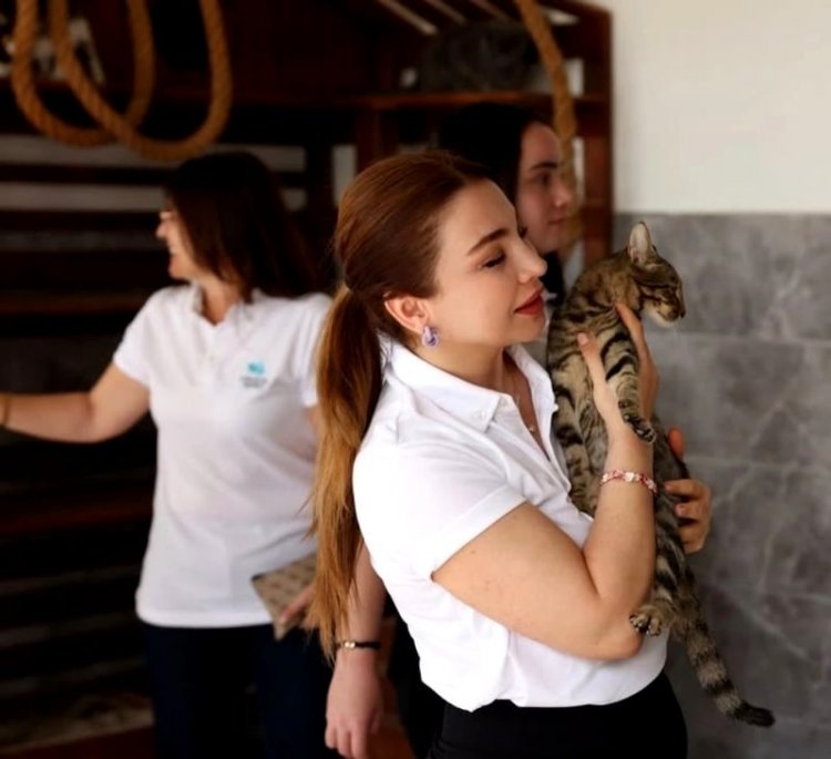 CRYSTAL HOTELS’TEN CAN DOSTLARIMIZA BÜYÜK DESTEK: 'BİR KAP MAMA, BİR CANA UMUT'